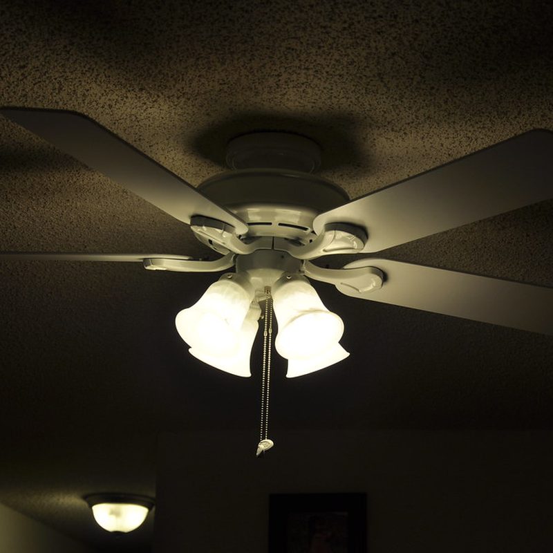 Orient Wendy Wall Fan - Standard