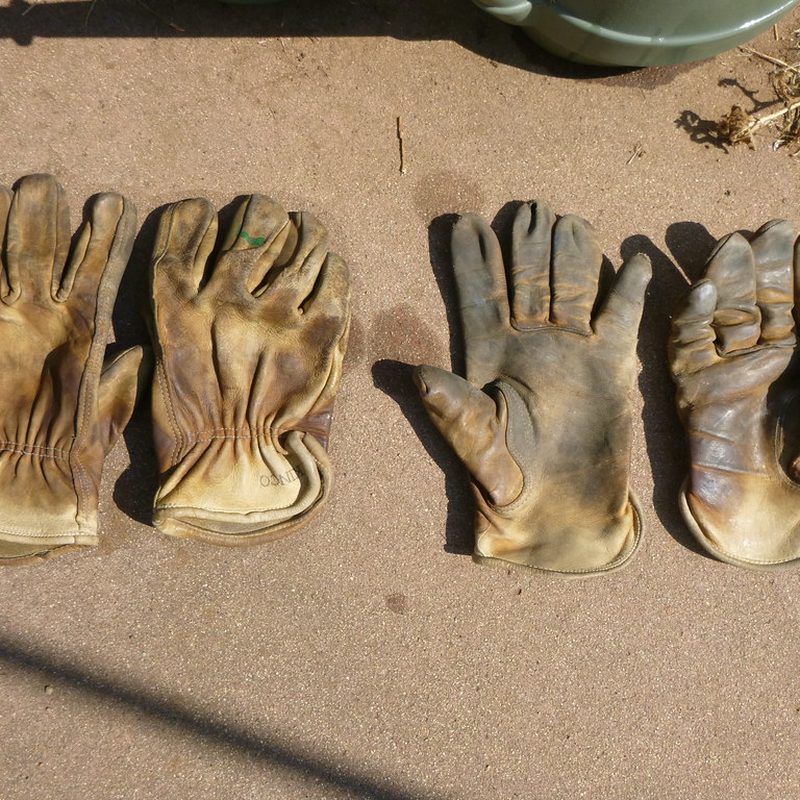 Karam Cotton Hand Gloves - Standard